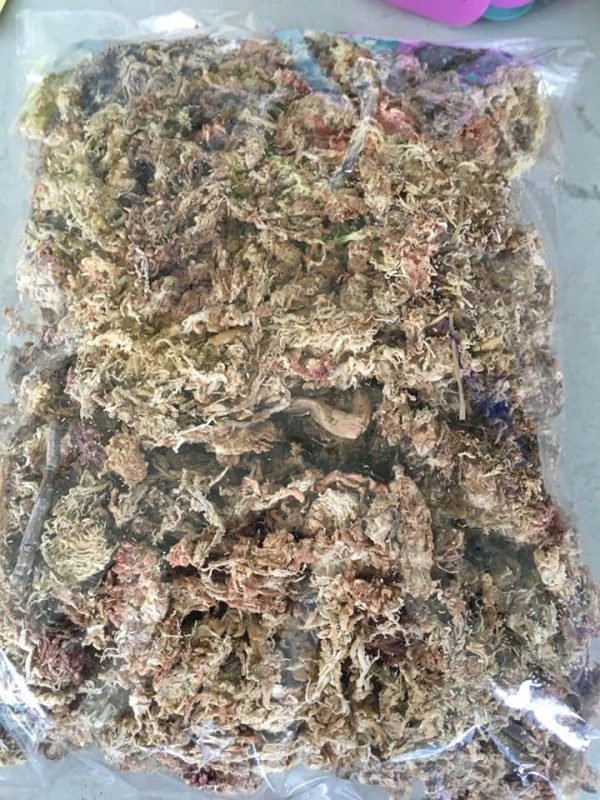 4.5 ounces, New Zealand Long-Fibered Sphagnum Moss –